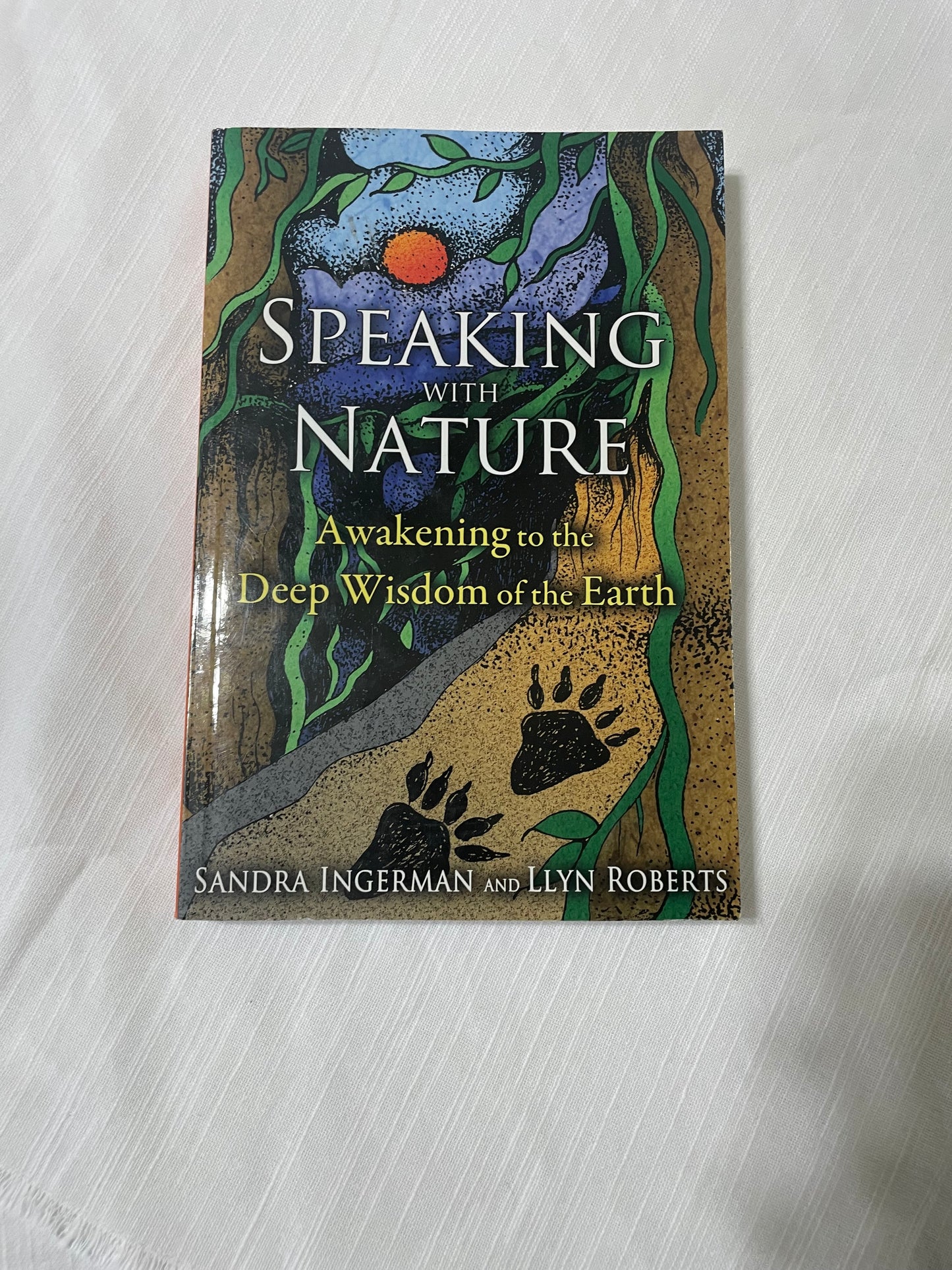 Speaking with Nature-Sandra Ingerman and Llyn Roberts