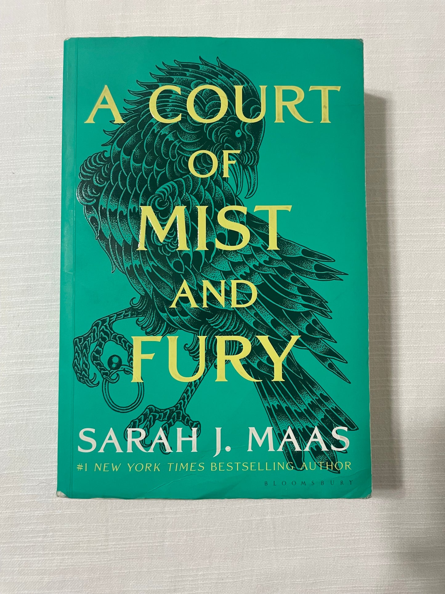 A Court of Mist and Fury-Sarah J. Maas